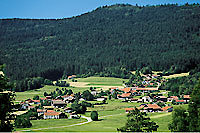 Bayerischer Wald